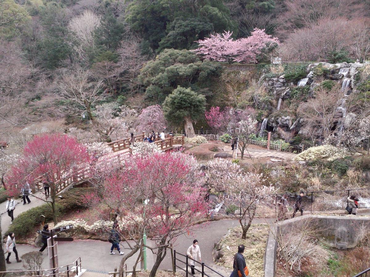 Tkp Lectore Atami Momoyama Atami (Shizuoka) Exterior foto